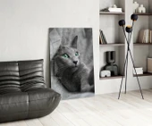 Kedi Cam Tablo thumbnail 5