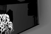 Leopar Cam Tablo thumbnail 7