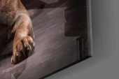 Köpek Cam Tablo thumbnail 7