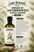 Complex Isırgan ve Çam Terebentin Özlü Bitkisel Şampuan 400 Ml thumbnail 2