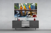 Papağanlar Cam Tablo thumbnail 8