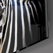 Zebra Cam Tablo thumbnail 3