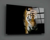Kaplan Cam Tablo thumbnail 2