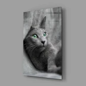 Kedi Cam Tablo thumbnail 2