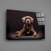 Köpek Cam Tablo thumbnail 2