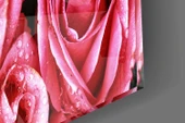 Pembe Gül Cam Tablo thumbnail 7