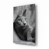 Kedi Cam Tablo thumbnail 1