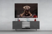 Köpek Cam Tablo thumbnail 8