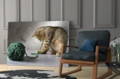 Kedi Cam Tablo thumbnail 6