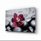 Spa Cam Tablo thumbnail 1