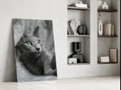 Kedi Cam Tablo thumbnail 6