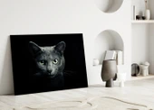 Kedi Cam Tablo thumbnail 3