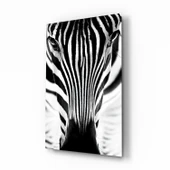 Zebra Cam Tablo thumbnail 1