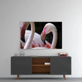 Flamingo Cam Tablo thumbnail 8