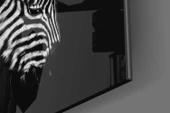 Zebra Cam Tablo thumbnail 7