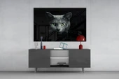 Kedi Cam Tablo thumbnail 8
