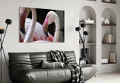 Flamingo Cam Tablo thumbnail 4