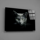 Kedi Cam Tablo thumbnail 2