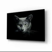 Kedi Cam Tablo thumbnail 1