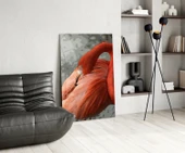 Flamingo Cam Tablo thumbnail 5
