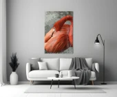 Flamingo Cam Tablo thumbnail 3