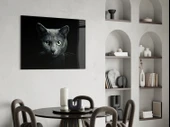 Kedi Cam Tablo thumbnail 5