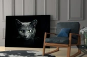 Kedi Cam Tablo thumbnail 6