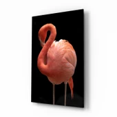 Flamingo Cam Tablo thumbnail 1