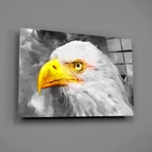 Kartal Cam Tablo thumbnail 2