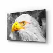 Kartal Cam Tablo thumbnail 1