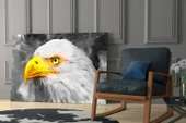 Kartal Cam Tablo thumbnail 6