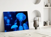 Denizanası Cam Tablo thumbnail 3