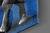 Fil Cam Tablo thumbnail 7