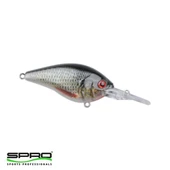 SPR004373.00001 thumbnail 1