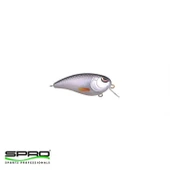 SPR004867.00304 thumbnail 1