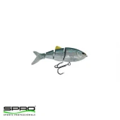 SPR004863.00300 thumbnail 1