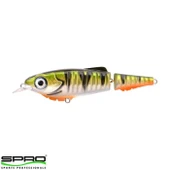 SPR004870.00002 thumbnail 1