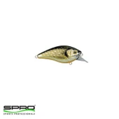 SPR004372.00011 thumbnail 1