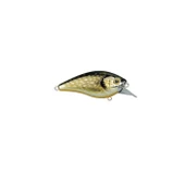SPR004372.00011 thumbnail 2