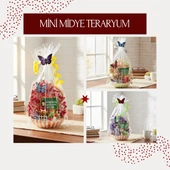 Midye Teraryum - Öğretmenler Günü Hediyesi thumbnail 1