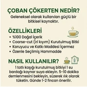 Çoban Çökerten (demir Dikeni) - 100 gr thumbnail 2
