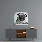 Pug Cam Tablo thumbnail 4