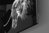 Aslan Cam Tablo thumbnail 3