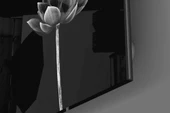 Floral Cam Tablo thumbnail 3