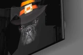 Köpek Cam Tablo thumbnail 3
