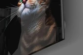 Yavru Kedi Cam Tablo thumbnail 3