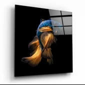 Betta Balık Cam Tablo thumbnail 1
