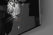 Leopar Cam Tablo thumbnail 3
