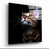 Yavru Kedi Cam Tablo thumbnail 1