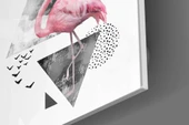 Flamingo Cam Tablo thumbnail 3